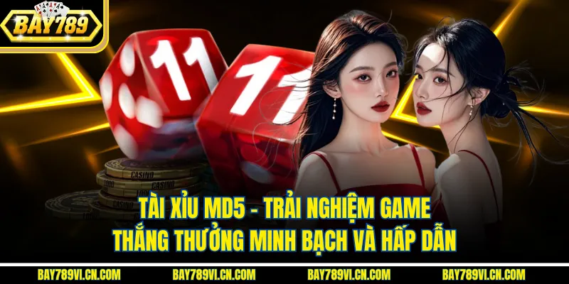 Tài Xỉu MD5 – Trải Nghiệm Game Thắng Thưởng Minh Bạch và Hấp Dẫn